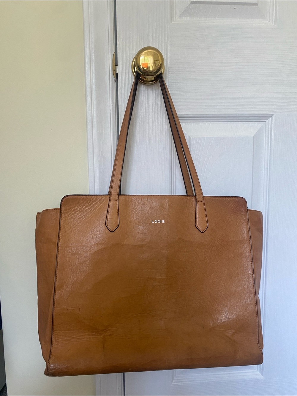 Lodis tote